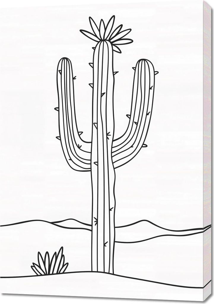 Bild 70x100cm Wüstenriese