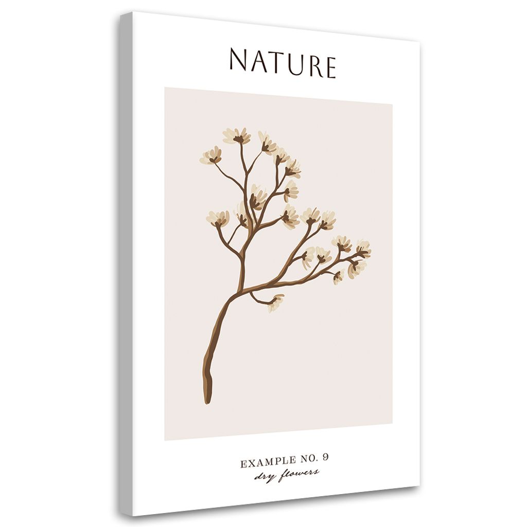 Leinwandbild Getrocknete Blume - Natur 40x60 Feeby Beige bild für die wand bereit zum aufhängen