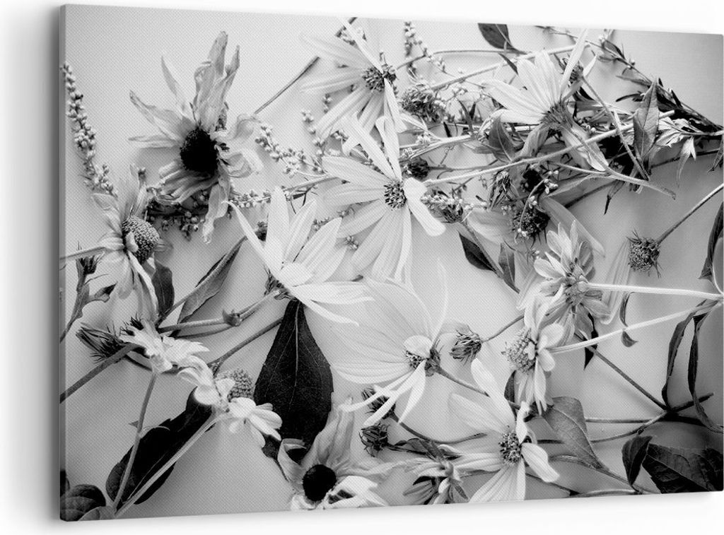 Bild auf Leinwand - Leinwandbild - Einteilig - Blumen Produktbild 
