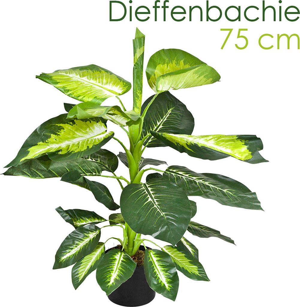 Dieffenbachia Plante Artificielle Artificiel Plastique Image du produit 