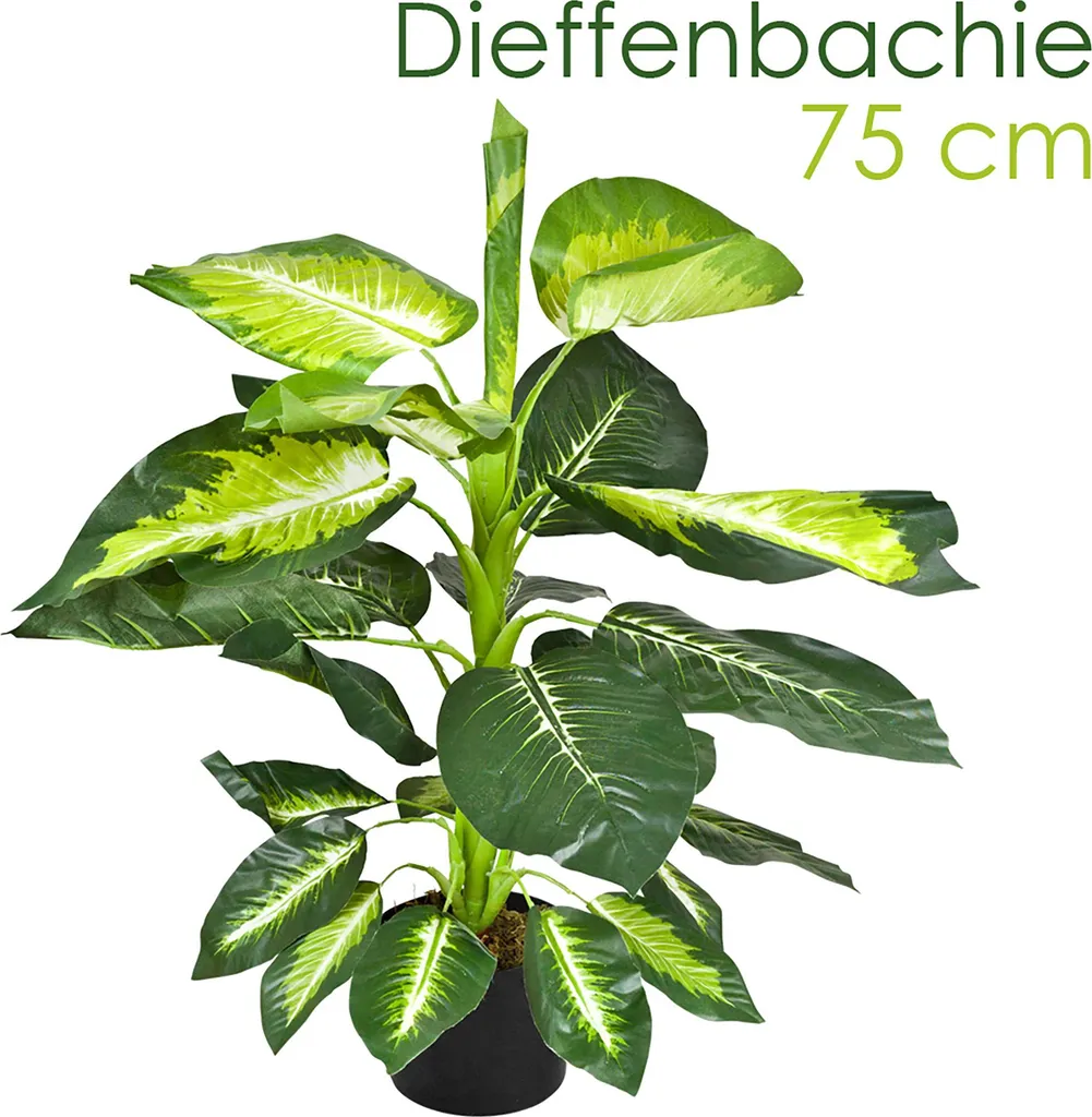 Dieffenbachia Artificiale Arredo Casa | Decovego 75cm Idea Regalo