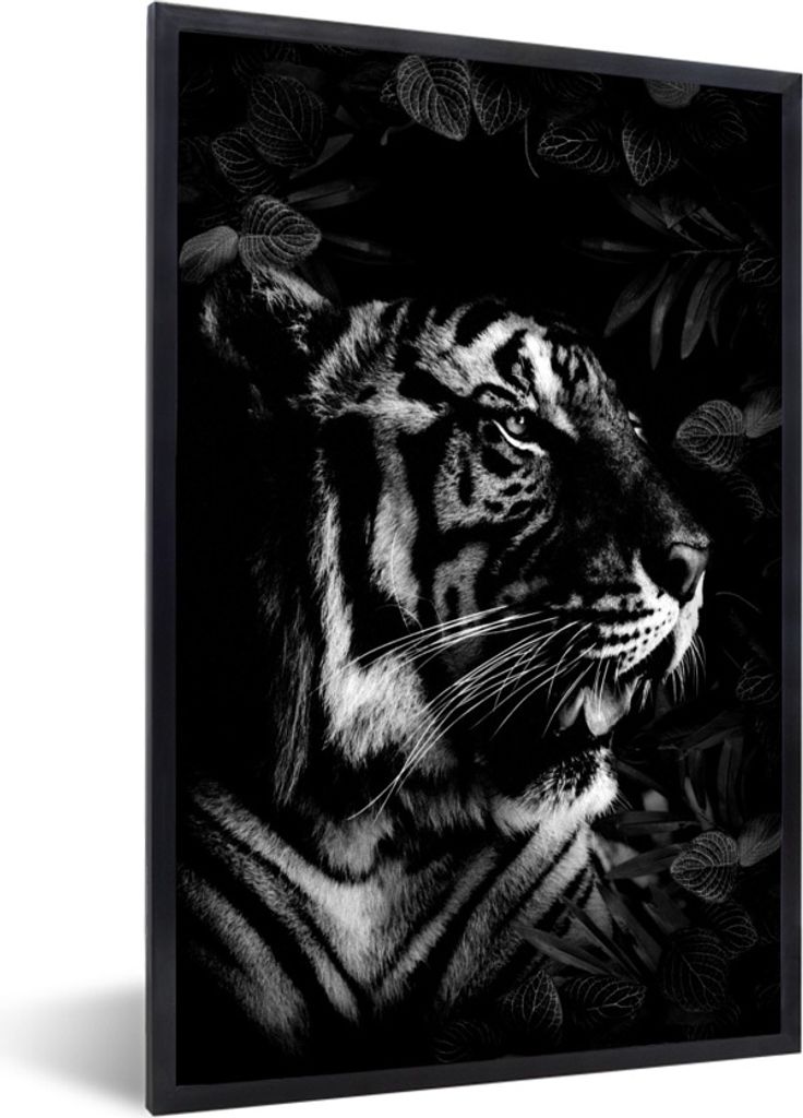 MuchoWow Gerahmtes Poster Brüllender Tiger zwischen den Blättern - schwarz und weiß 60x90 cm - Poster mit Schwarzem Bilderrahmen Wandposter Ra...