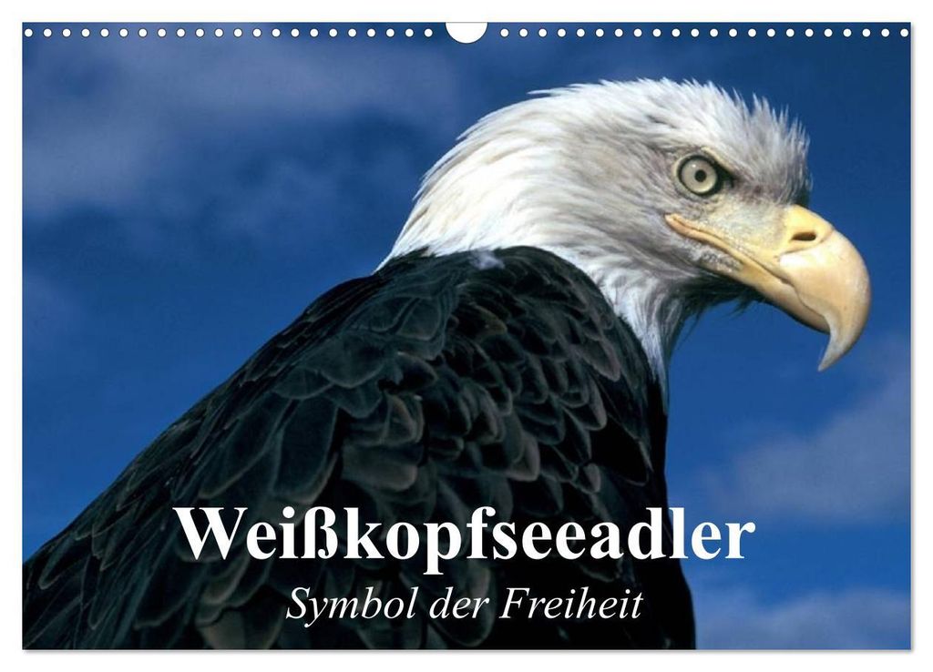 Weißkopfseeadler. Symbol der Freiheit (Wandkalender 2027 DIN A3 quer), CALVENDO Monatskalender