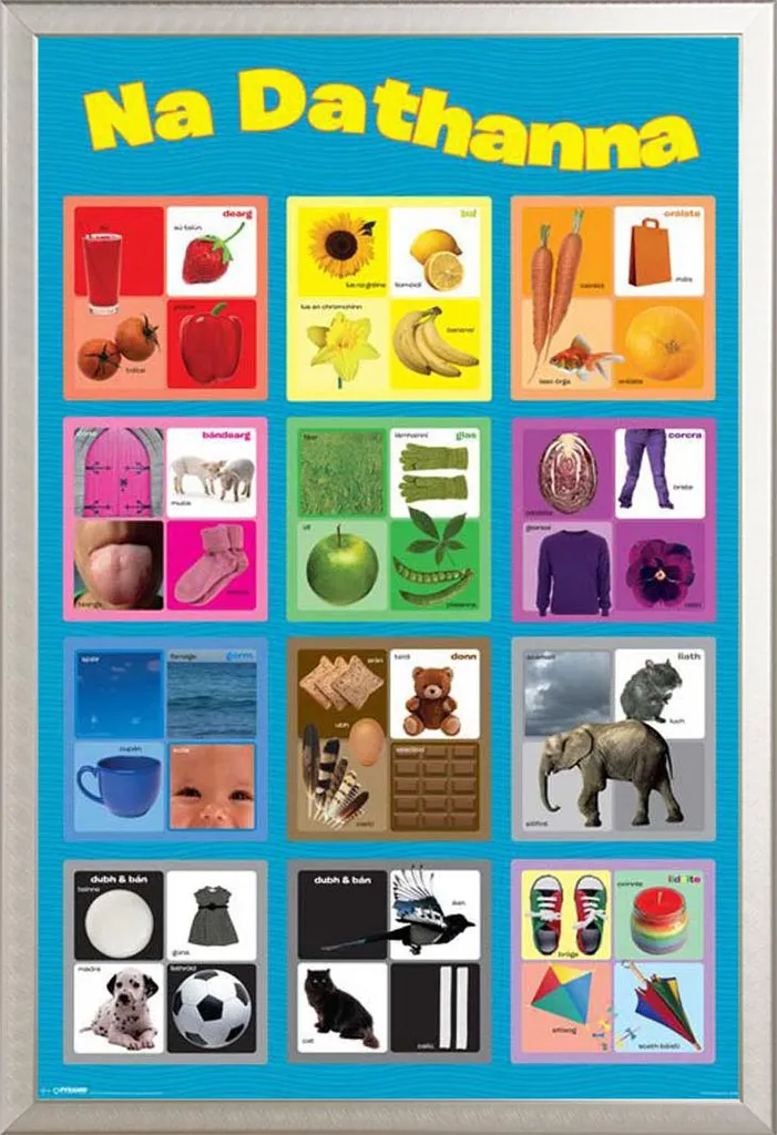 Cornice Argento Shinsuke® con Poster Didattico Irlandese Colori Maxi