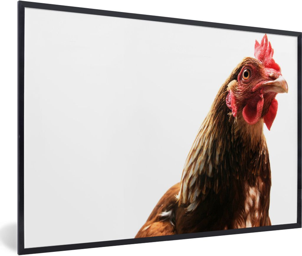 MuchoWow Gerahmtes Poster Hahn - Bauernhoftiere - Federn 60x40 cm - Poster mit Schwarzem Bilderrahmen Wandposter Rahmen Foto Bilder - Printing - ...