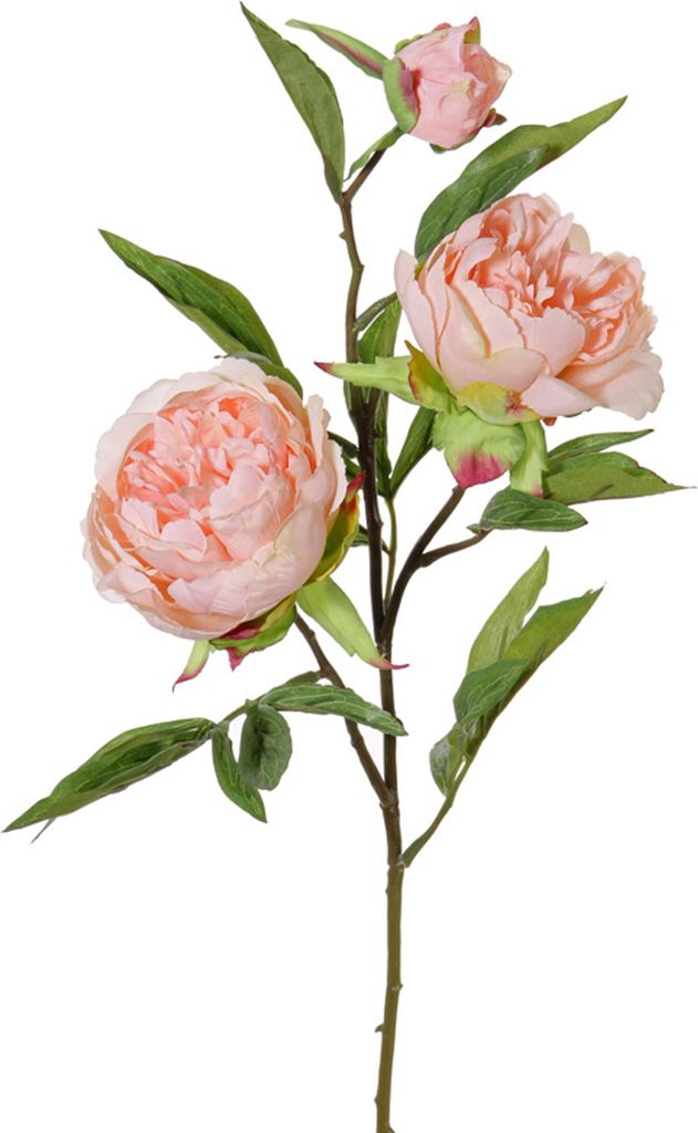 Topart Kunstliche Blume Pfingstrose Spring Dream - hellrosa - 73 cm
