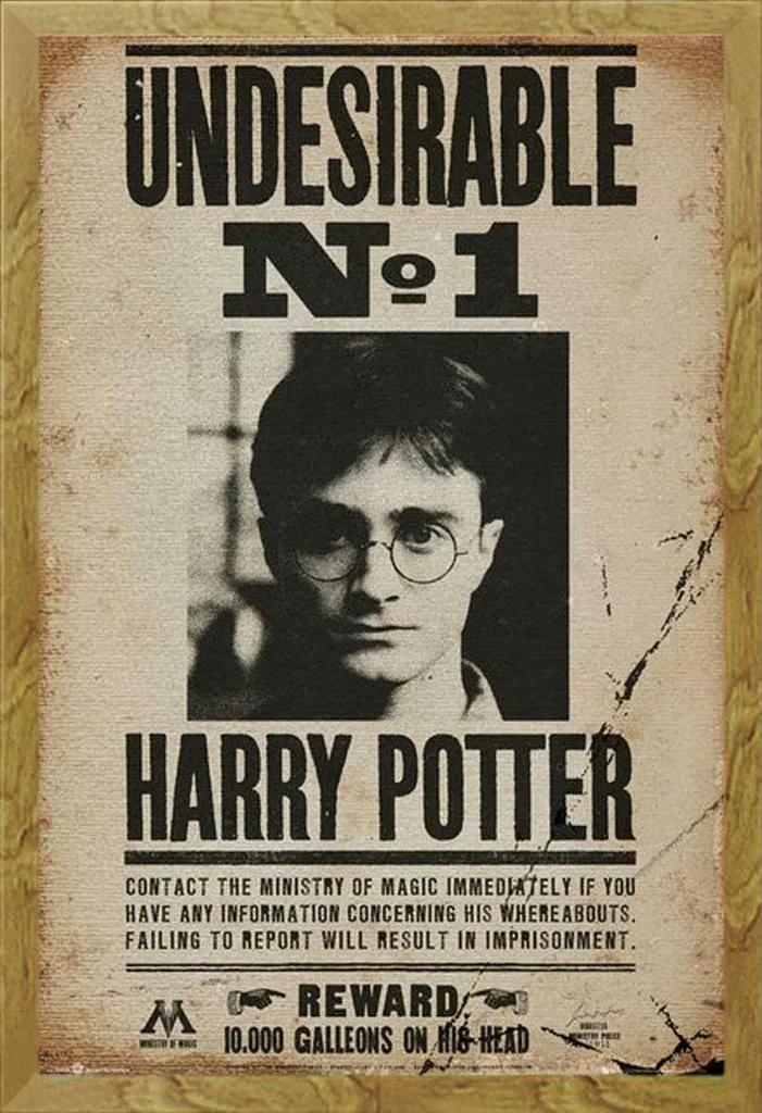 Poster Harry Potter Wanted con Cornice Legno Rovere Shinsuke 61x91