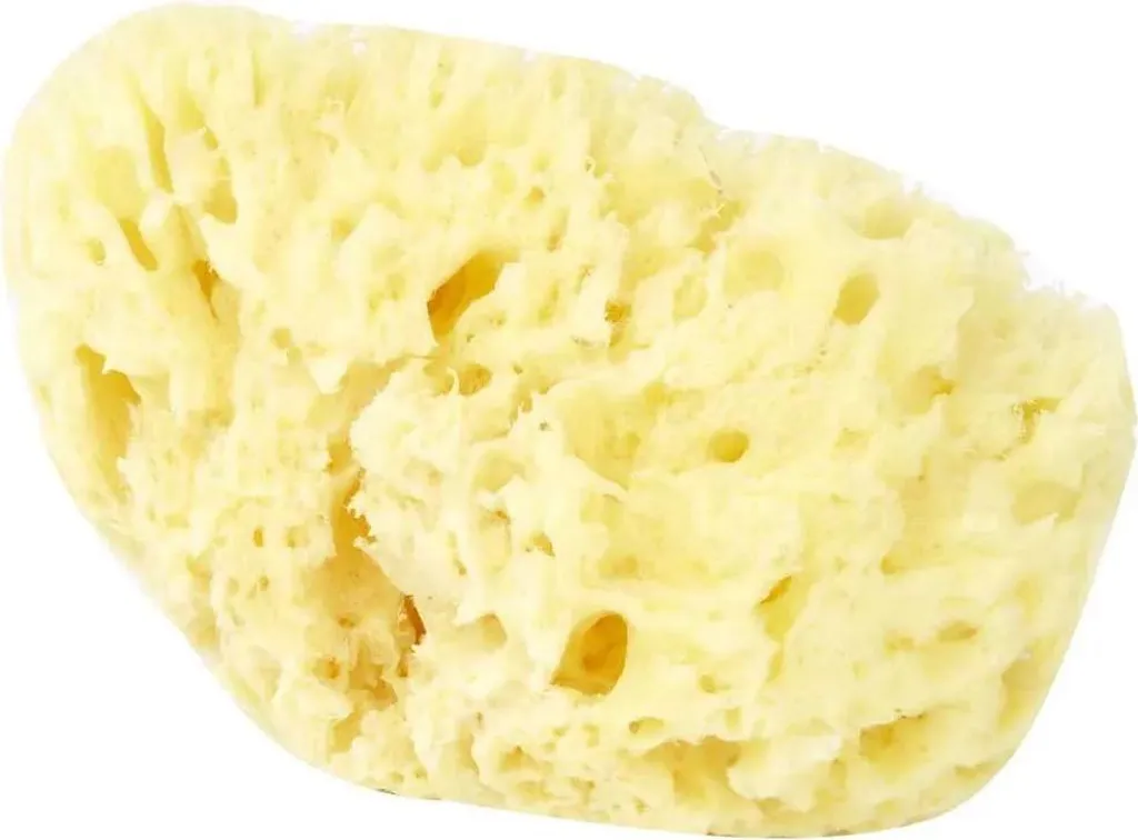 Spugna Marina Arcipelago Bellini Giallo 12 - Spugna di Mare Naturale