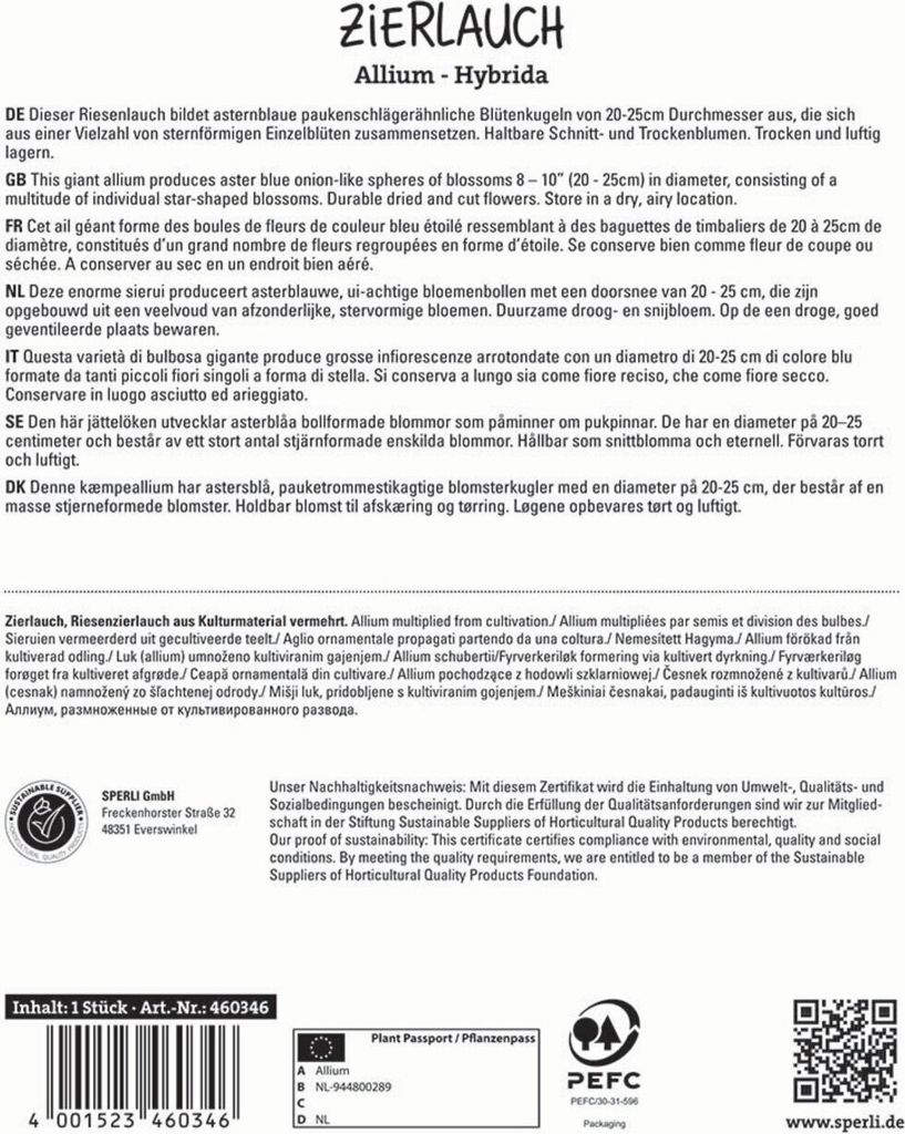 Zierlauch Globemaster (1 Stück) | Zierlauchzwiebeln von Sperli