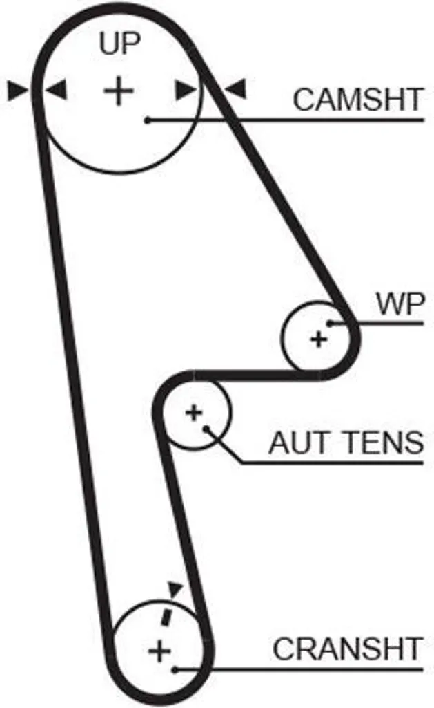 Courroie de distribution Gates T312RB pour Civic VII et FR-V OE 104RU22