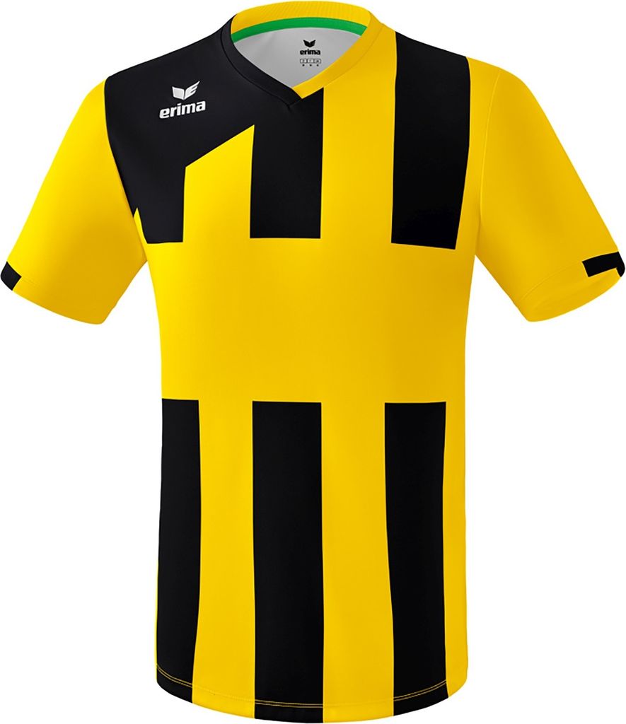 Erima Siena 3.0 Trikot Mehrfarbig