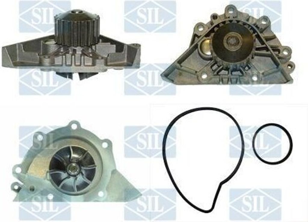 Saleri SIL Kühlmittelpumpe Wasserpumpe für FIAT Ulysse (179) PA1281A