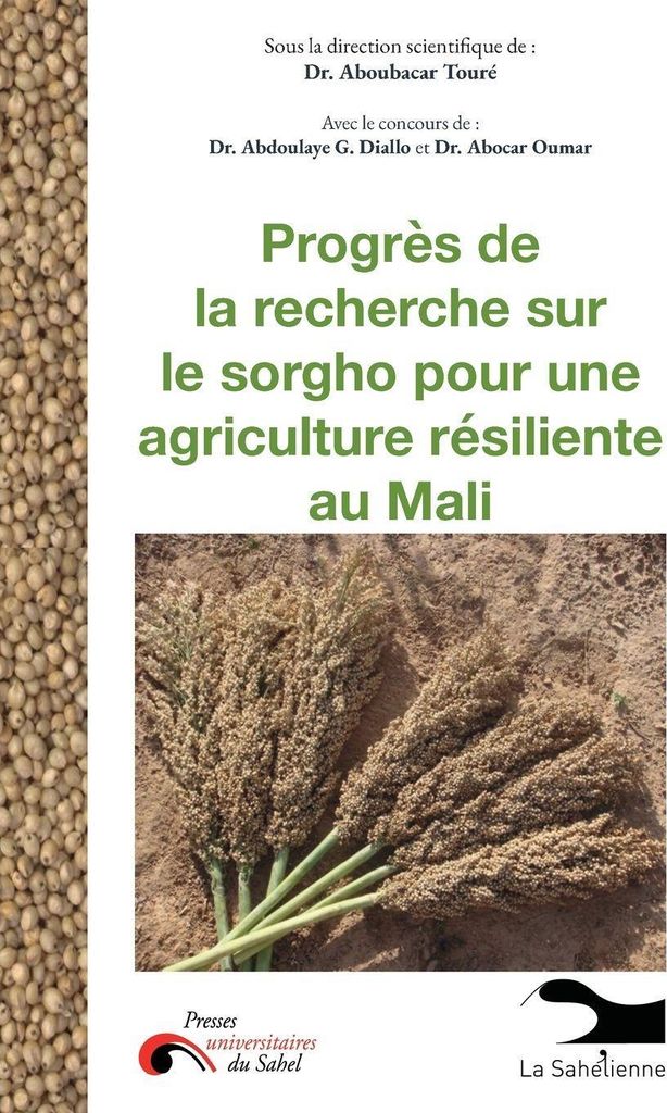Progrès de la recherche sur le sorgho pour une agriculture résiliente au Mali