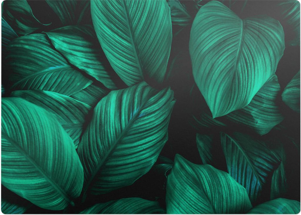 Tropische Blätter – Bodenschutzmatte – Rutschfest – Schutzmatte für Büro – Vinylmatte – Stuhlunterlage – 140 x 100 cm