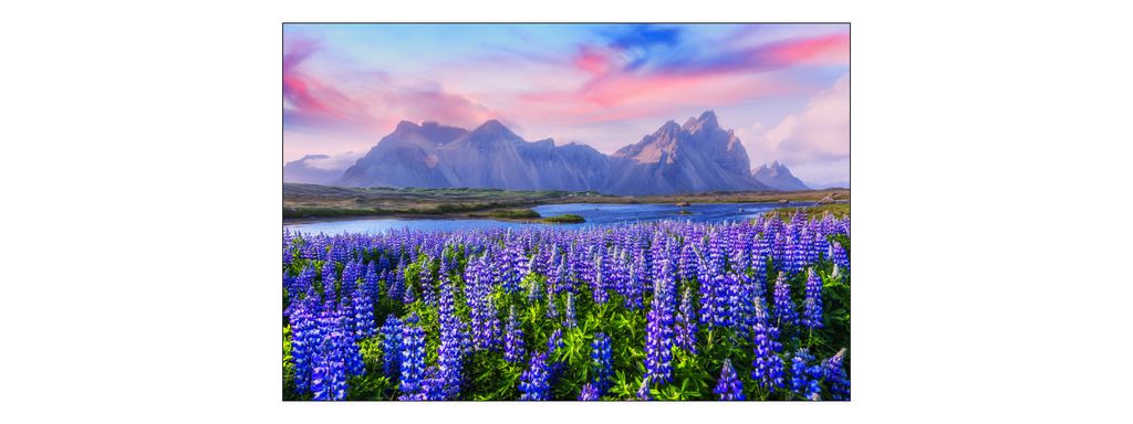 Muralo Fototapete Blumen 405 (B) x 270 (H) cm Vlies Tapete Wandtapeten Wohnzimmer Schlafzimmer moderne Wandbilder XXL Pflanzen Natur Wand Dekoration