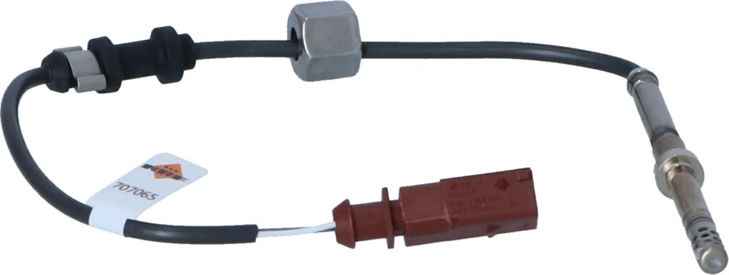 Supprimer voyant moteur : Sonde de température 03G906088E pour Sharan 7M
