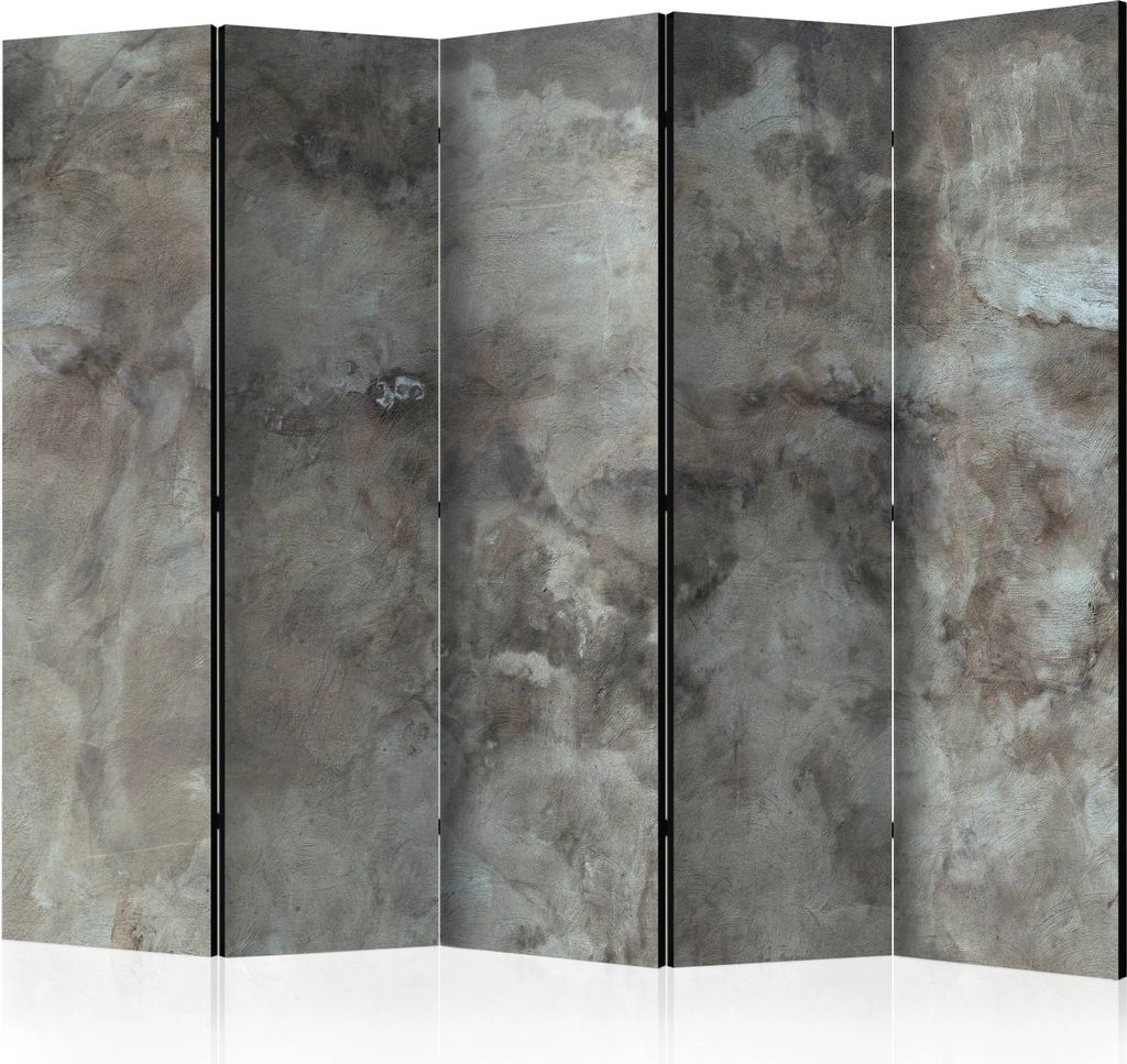 5-teiliger Doppelseitiger Vlies Paravent - Hail Cloud II 225x172 cm Orient f-A-0485-z-c