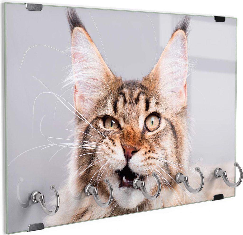 DEQORI Schlüsselbrett Glas 30x20 cm 'Maine Coon Katze faucht' Schlüssel Halter Haken