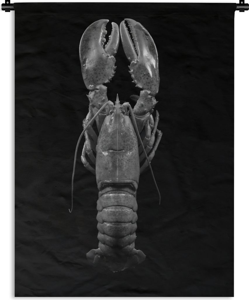 MuchoWow Wandteppich Wandbehang Gedämpfter Hummer auf schwarzem Hintergrund - schwarz und weiß 90x120 cm Tapisserie Dekoration Wandtuch - Wanddeko