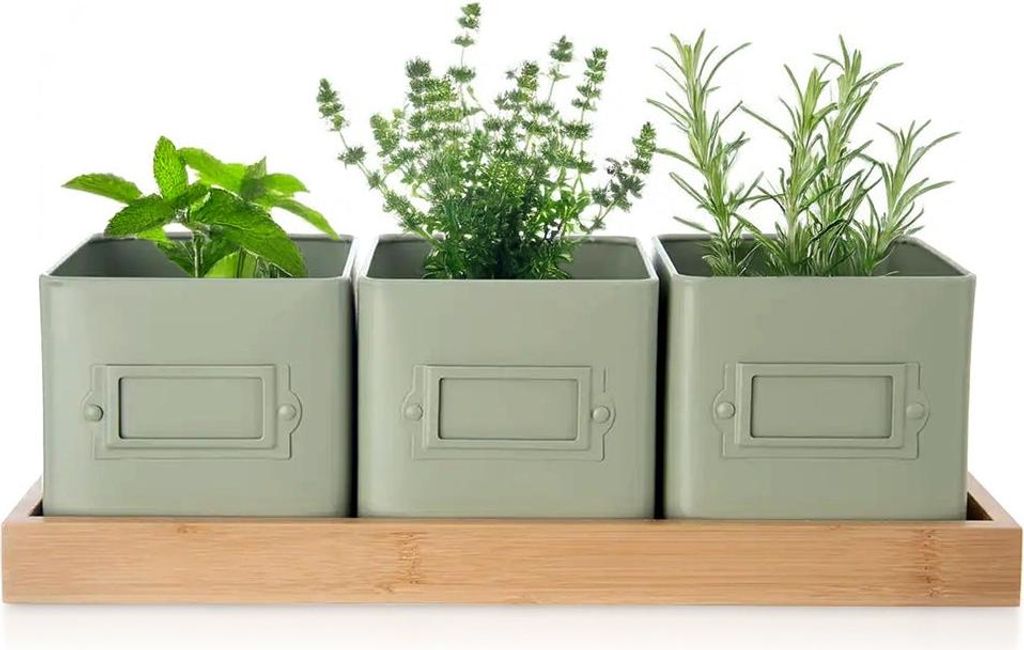 Three herb pots with plants on a bamboo tray against a white background.