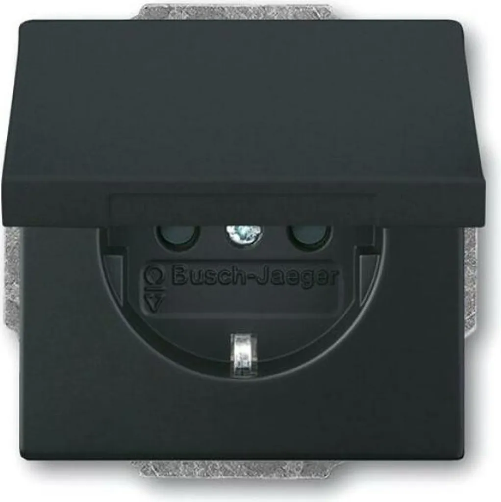 Prise de courant Busch-Jaeger 20 EUK-885 avec volet noir mat IP20
