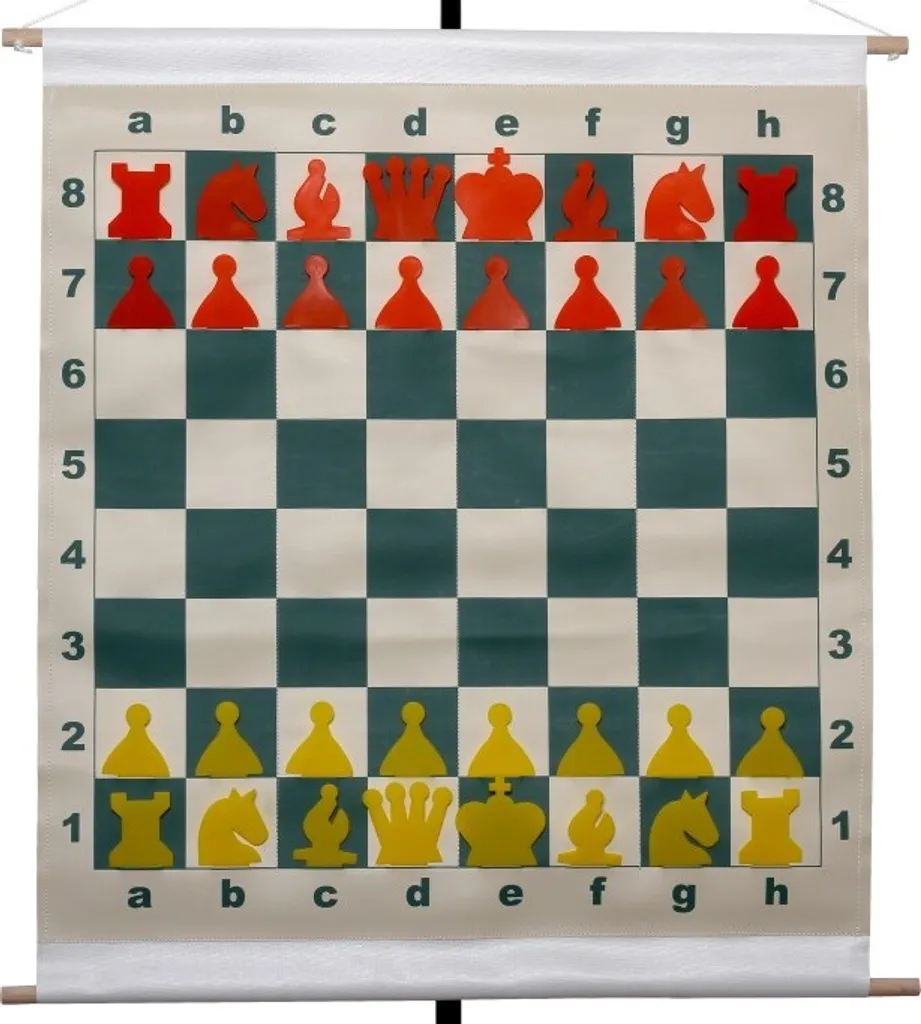 Échiquier de démonstration mural Roundboard avec pièces et sac de transport