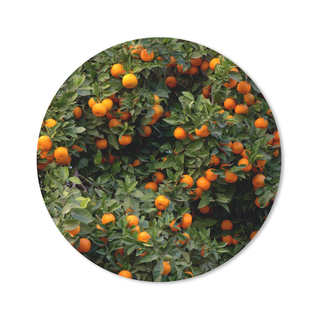 MuchoWow Mauspad Mousepad Orange - Baum - Frucht 20x20 cm - Mousepads - Maus Mat - Pad - Mausunterlage - Schreibtischmatte