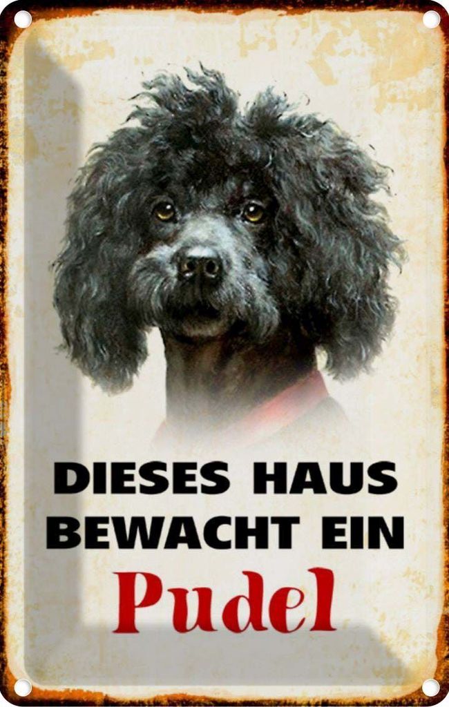 vianmo Blechschild 30x20 cm Hund dieses Haus bewacht ein Pudel Tier Haustier