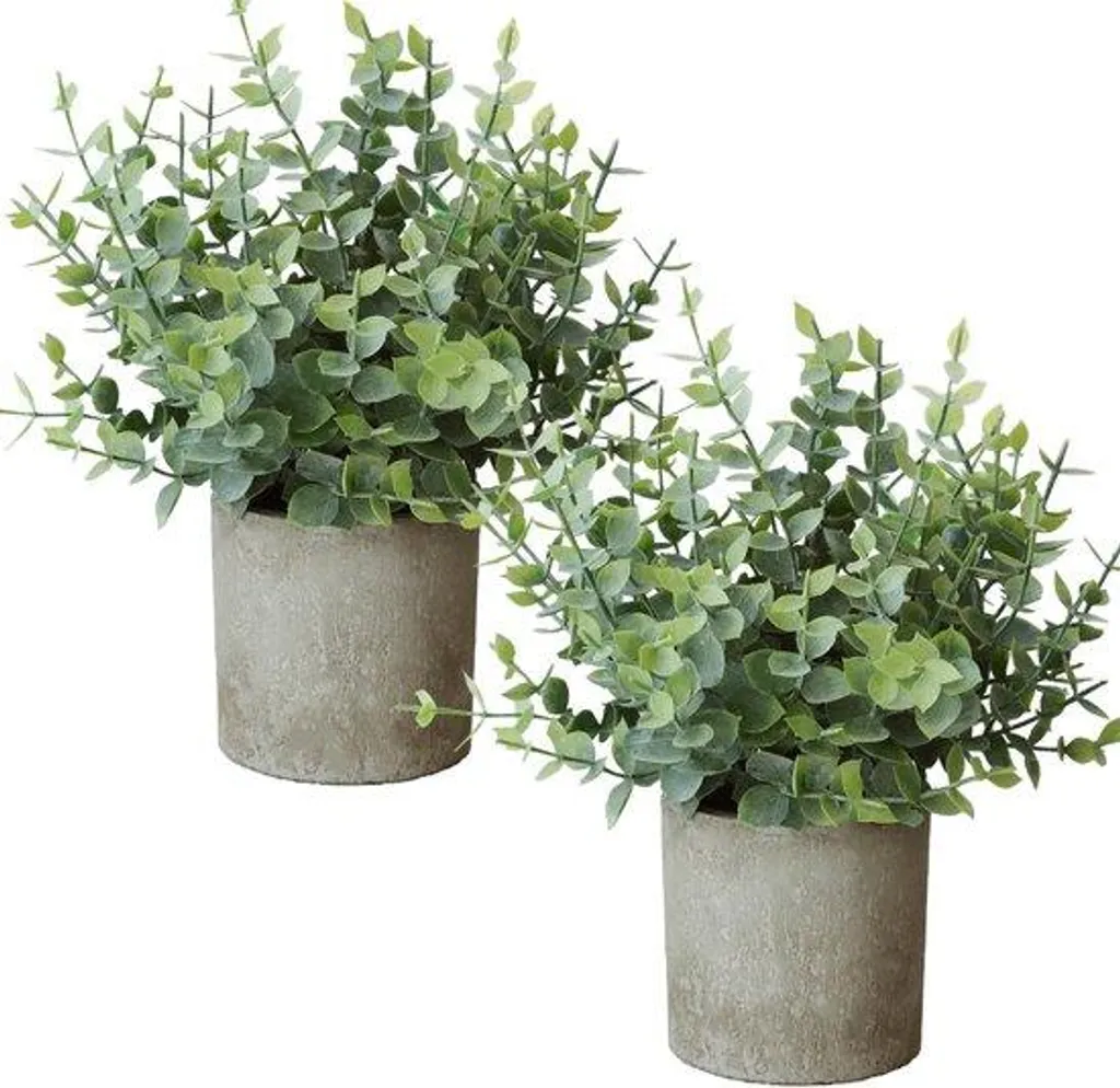 Roqueen Lot de 2 Plantes Artificielles Eucalyptus en Pot Vert pour Déco