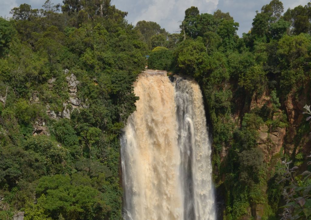 hansepuzzle 80904 - Wasserfall Puzzle, 260 Teile, Natur, 41,0 x 28,0cm mit hochwertiger Aufbewahrung, Kartonbox und wiederverschließbarem Beutel