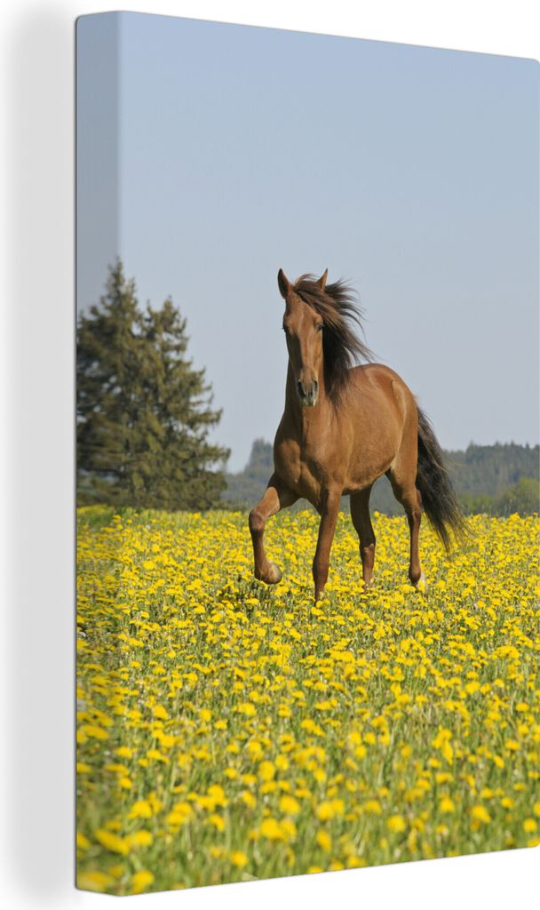 OneMillionCanvasses - Leinwandbilder - 90x140 cm, Pferde - Blumen - Gelb, Wandbilder Kunstdruck Wanddekoration - Foto auf Leinwand - Gemälde auf...
