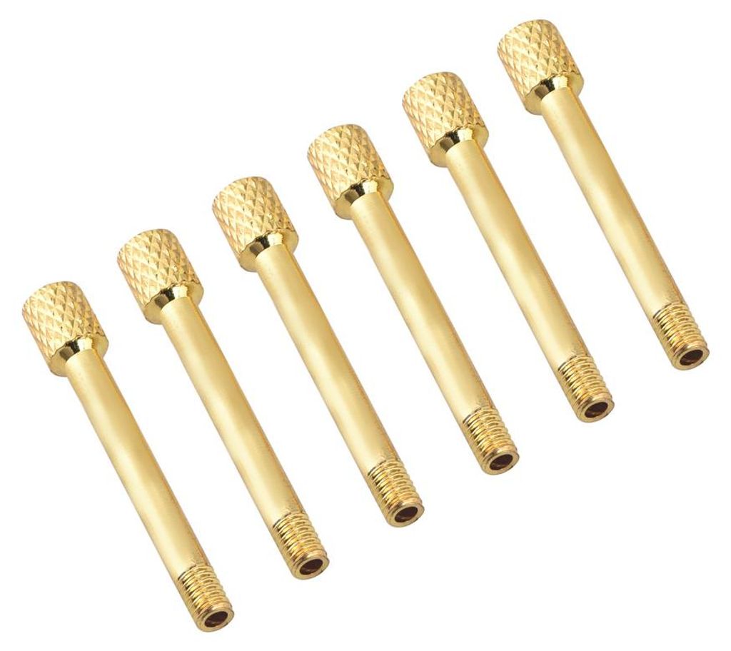 6 Stück Tremolo-Intonationssattel-Befestigungsschrauben als Ersatz für E-Gitarren (Gold)