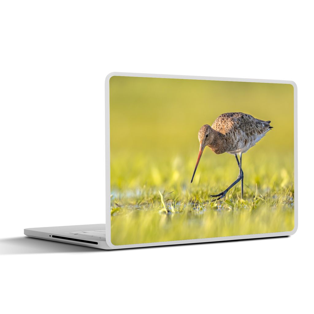 MuchoWow Laptop Aufkleber Sticker Cover Vögel - Gras - Landschaft - Uferschnepfe 30x22 cm - Laptop-Sticker