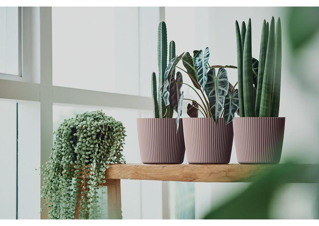 Milly Runder Blumentopf Produktbild 