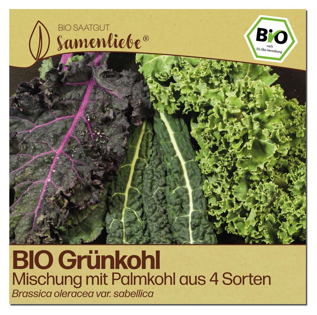 Samenliebe  Grünkohl Samen | Mischung mit Palmkohl aus 4 Produktbild 