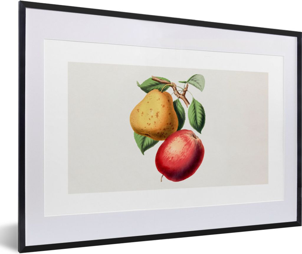 MuchoWow® Gerahmtes Poster Birne - Apfel - Obst 60x40 cm - Produktbild 