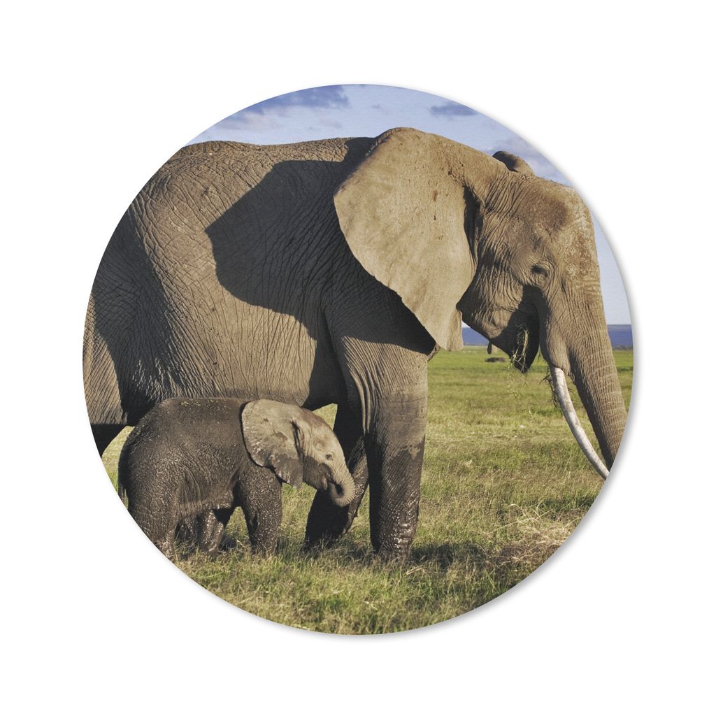 MuchoWow Mauspad Mousepad Elefant - Tiere - Grasland - Grün - Grau 30x30 cm - Mousepads - Maus Mat - Pad - Mausunterlage - Tischunterlage - Schr...