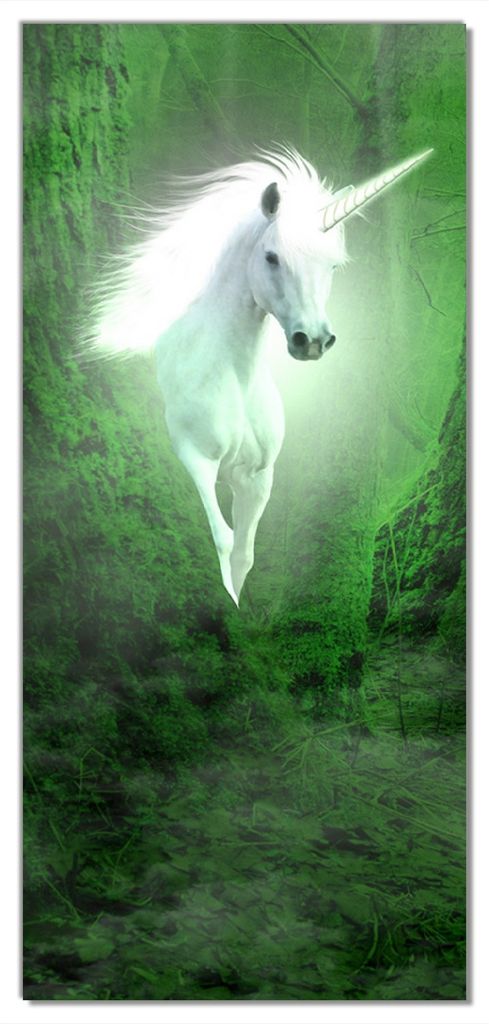Wallario selbstklebende Türtapete 93 x 205 cm - Weißes Einhorn im grünen Wald - Abwischbar, rückstandsfrei zu entfernen