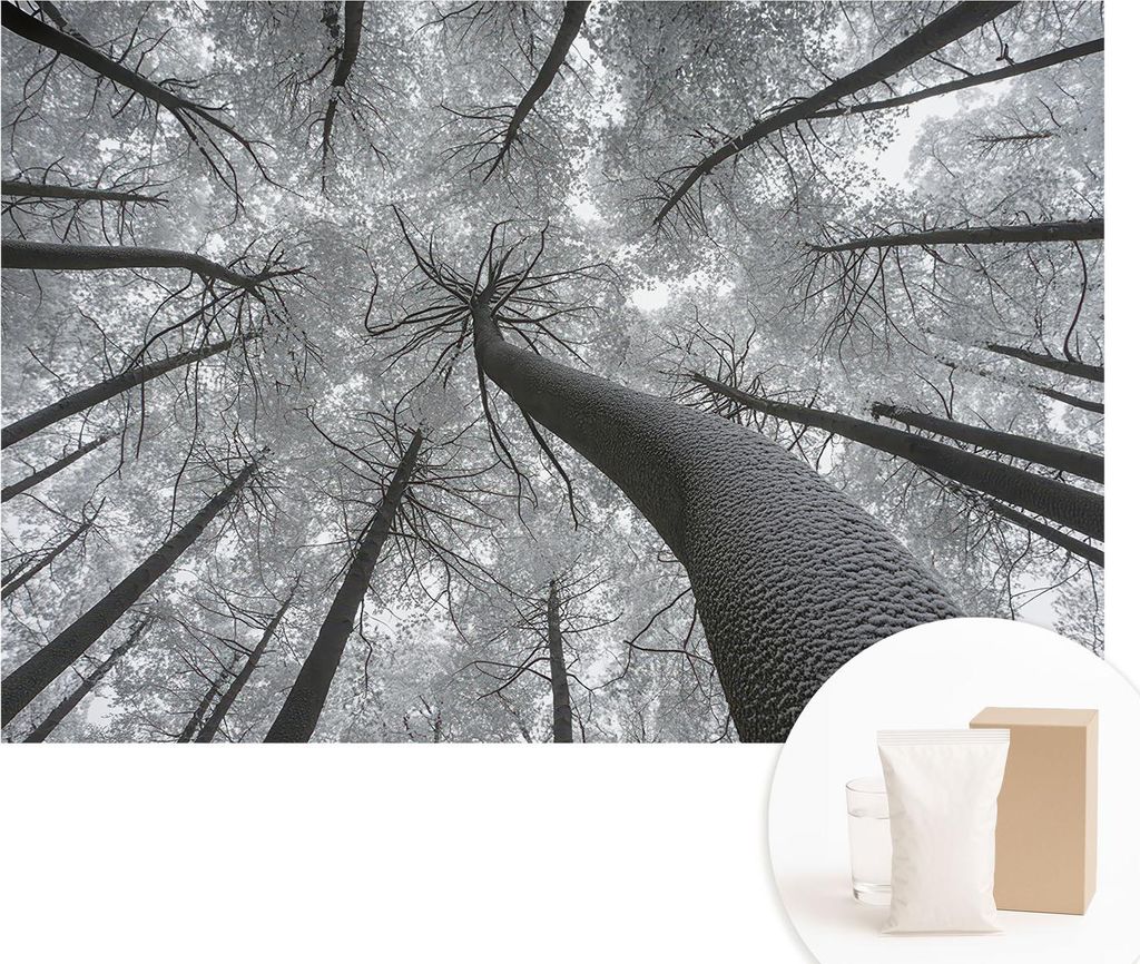Fototapete - Wandbilder für Wohnzimmer - 104x70 cm - Dekorative Wandfolie - Modernes Design für Wanddekoration - Tapeten für Innenräume - Winte...