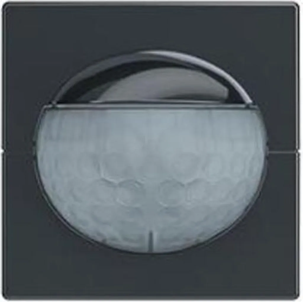 Capteur de Présence Multi Sensor Busch-Jaeger 64764-81 Anthracite