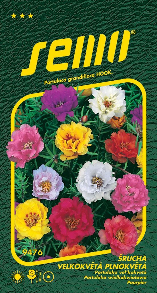 Samen - Portulakröschen, gefüllte Mischung