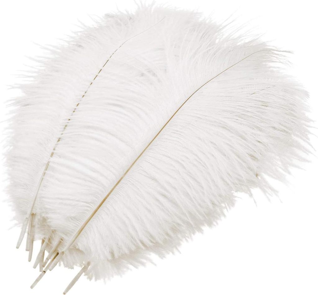 10 Stück Natürliche Straußenfedern, Strauß Feder Plume für Hochzeit Party Fest Tisch Herzstück Dekoration (Weiß, 25-30cm)