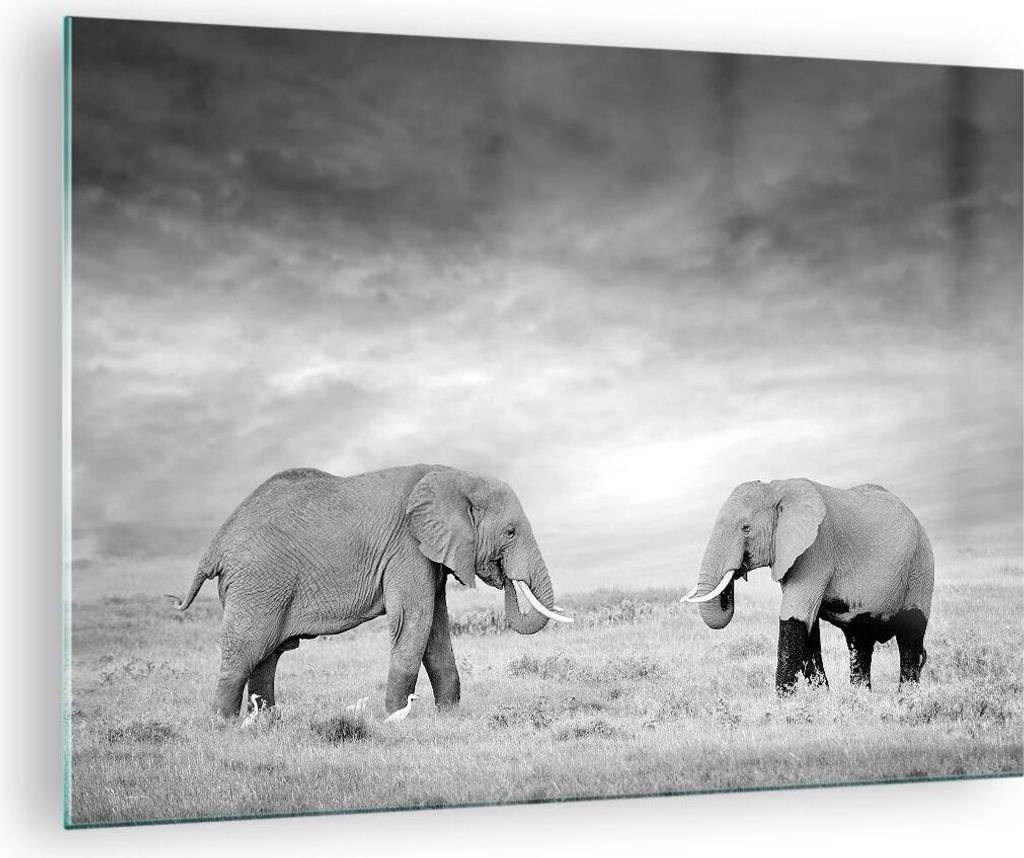 Bilder auf glas - Einteilig - Elefanten Schwarzweiß Safari - 70x50cm - Glasbilder - Wandbilder - Bilder - Wanddekoration aus Glas - Glas Bilder - ...