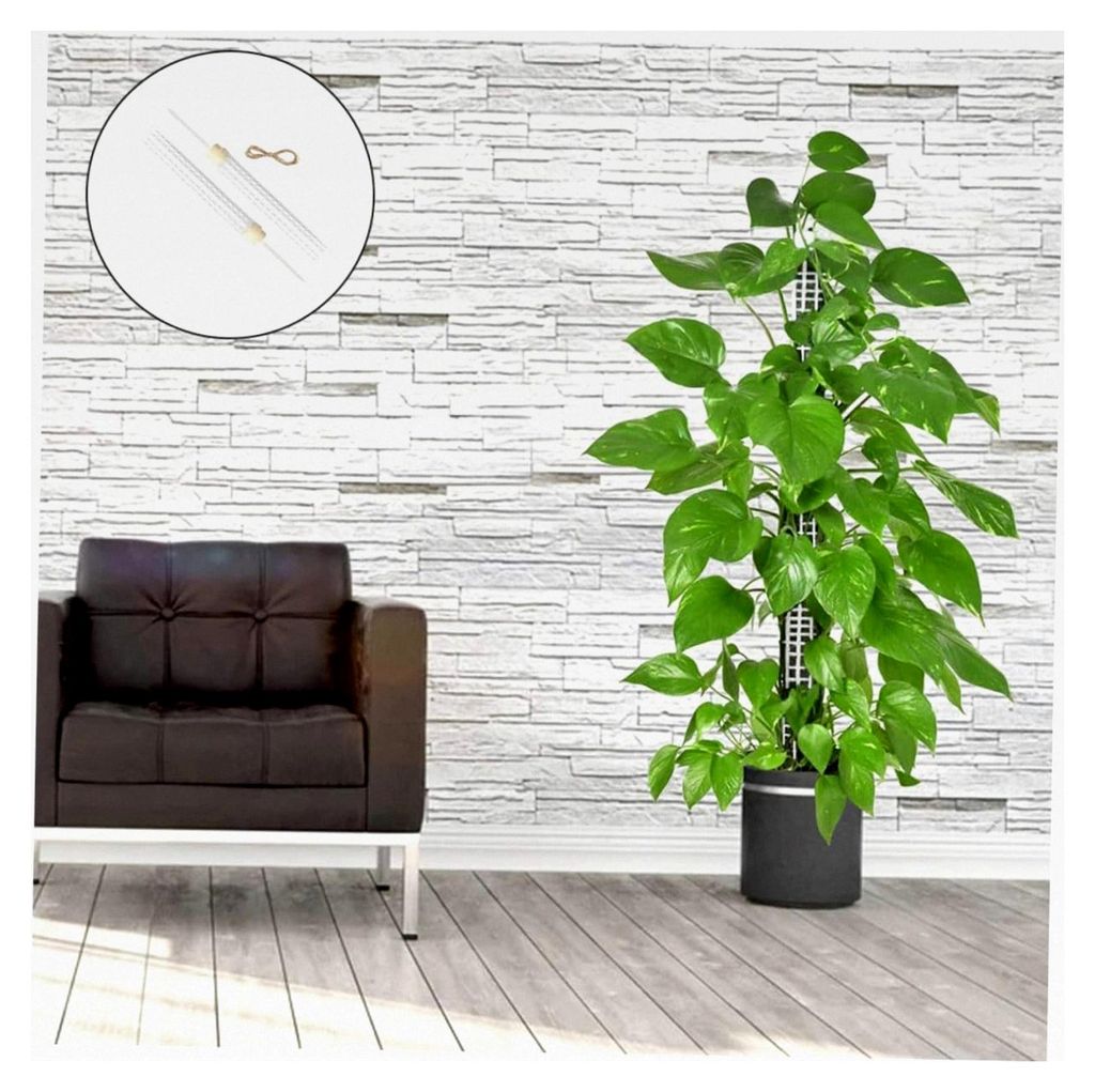 Moosstab für Monstera - Kunststoff Pflanzenstütze für Kletterpflanzen