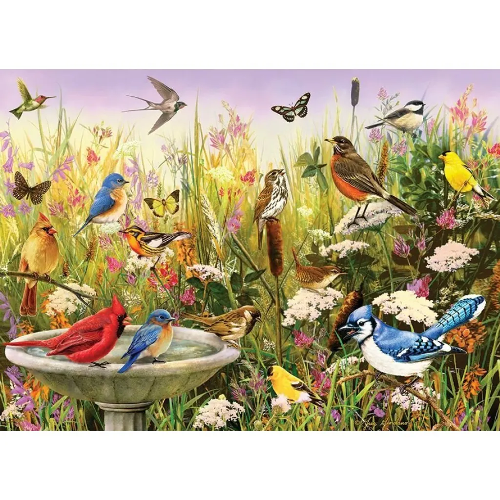 Puzzle Relaxation 1000 Pièces Oiseaux - Activité Zen et Décoration Mur
