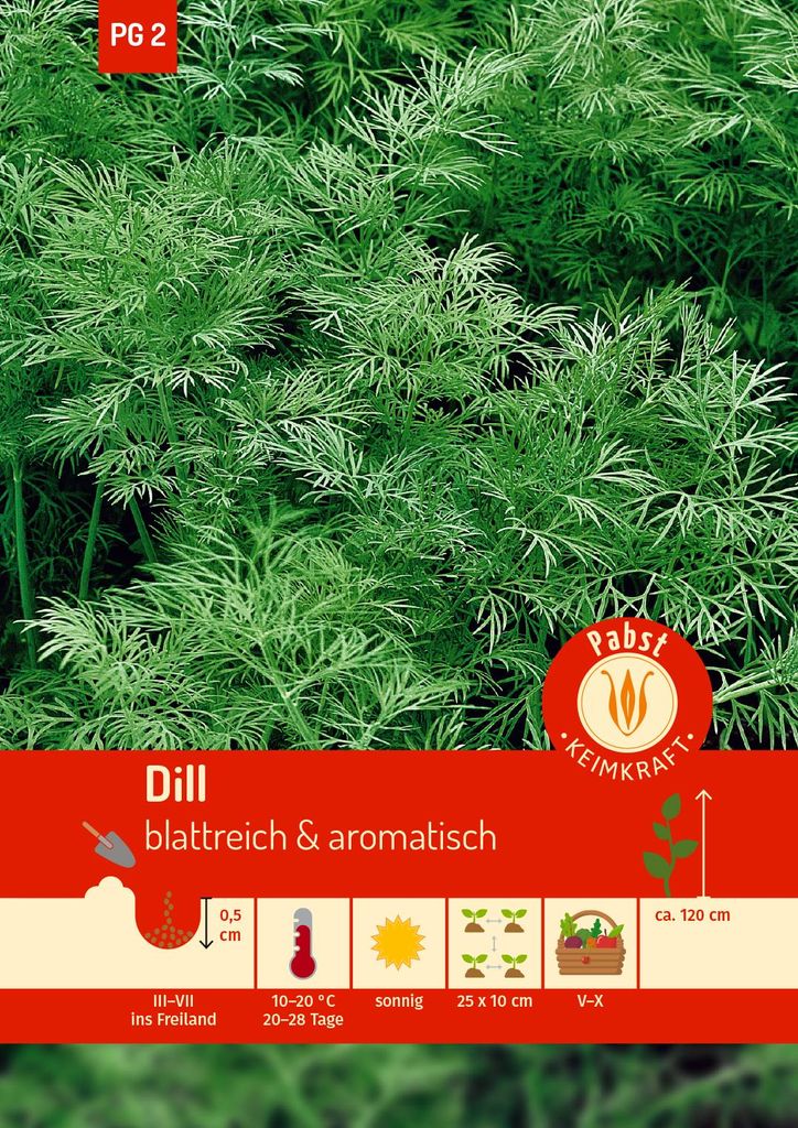 Artikelbild 1 von 'Dill Blattreicher' aus der Kategorie Dillsamen