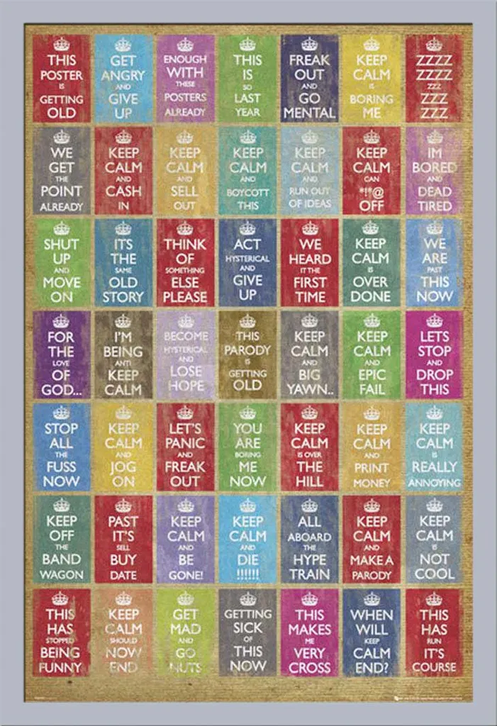 Affiche Décorative avec Cadre Amovible Argenté 61x91,5 cm Vitre Acrylique