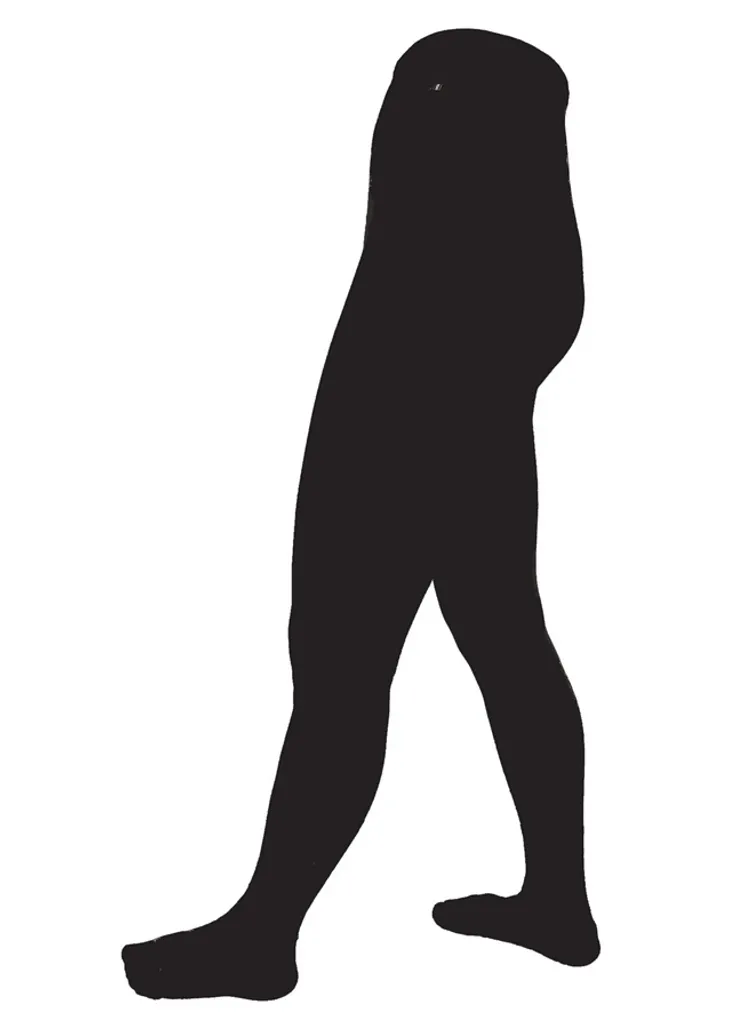 Kingsland Collants Classic Noir L/XL - Matière Respirante et Taille Haute