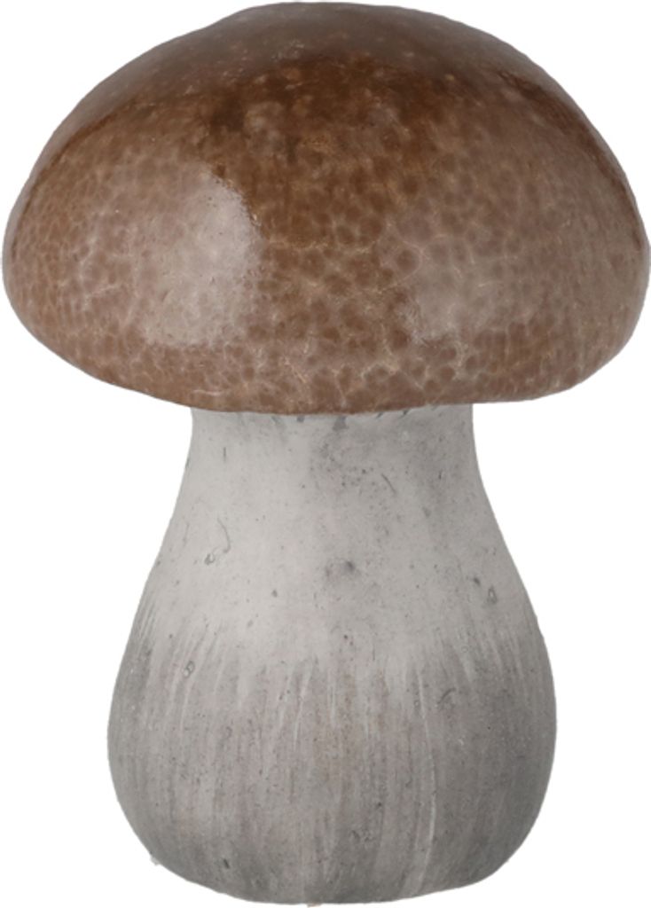 *P* Pilz braun, S, ca.8cmH