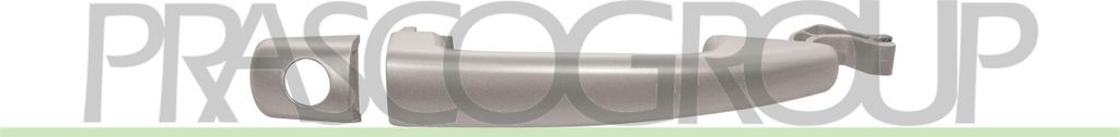 PRASCO PG7208008 Türgriff Vorne Links für CITROËN C3 II (SC) Silber